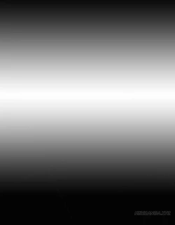 Page 337 of My Wives Ch.1-33