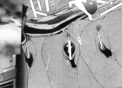 Page 166 of Polymath Master