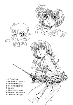 Page 18 of Chaos Create Kawarajima Koh Datafile