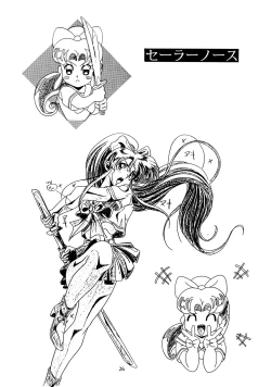 Page 25 of Chaos Create Kawarajima Koh Datafile