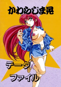 Page 2 of Chaos Create Kawarajima Koh Datafile