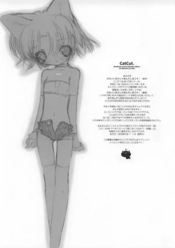 Page 4 of CAT CUT