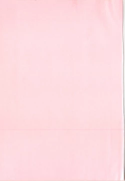 Page 4 of Anal Daisakusen