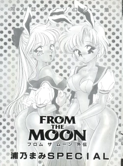 Page 4 of From the Moon Gaiden