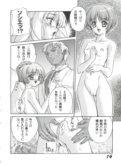 Page 13 of Kanzen Nenshou 6