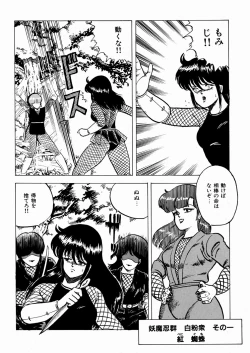 Page 13 of Youka Ninpouchou Ten no Maki