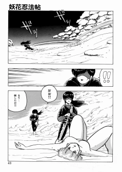 Page 44 of Youka Ninpouchou Ten no Maki