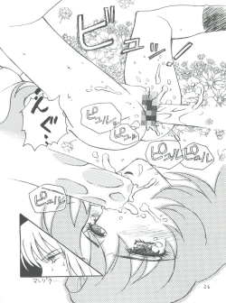 Page 27 of Kareinaru Gakusei-fuku