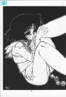 Page 45 of Suisei Liquid R