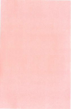 Page 193 of Imouto no Are wa Kimochi Ii