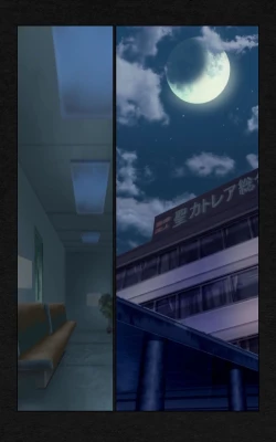 Page 252 of Yakin Byoutou・Ni