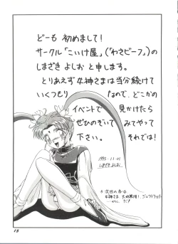 Page 19 of Bishoujo Doujinshi Anthology 19