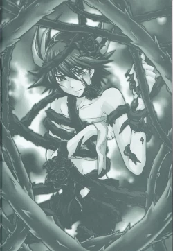 Page 3 of Victim Sanctuary