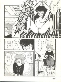 Page 23 of Mibojin Geshuku